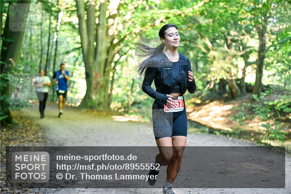 28.09.2025 - 33. Volkslauf durch das schöne Alstertal Dr. Thomas Lammeyer http://msf.ph/oto/8955552 28.09.2025 10:41:55 Laufen  meine-sportfotos.de