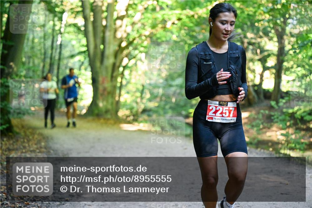 28.09.2025 - 33. Volkslauf durch das schöne Alstertal Dr. Thomas Lammeyer http://msf.ph/oto/8955555 28.09.2025 10:41:56 Laufen 2257 meine-sportfotos.de
