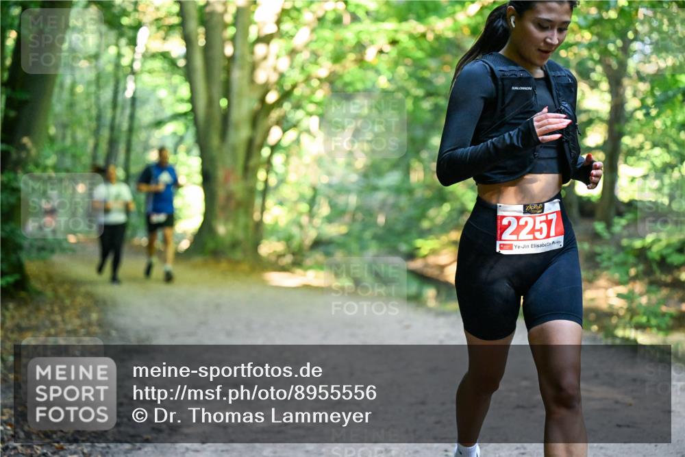 28.09.2025 - 33. Volkslauf durch das schöne Alstertal Dr. Thomas Lammeyer http://msf.ph/oto/8955556 28.09.2025 10:41:56 Laufen 2257 meine-sportfotos.de