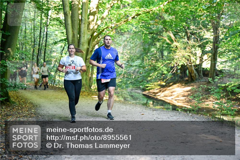 28.09.2025 - 33. Volkslauf durch das schöne Alstertal Dr. Thomas Lammeyer http://msf.ph/oto/8955561 28.09.2025 10:41:59 Laufen 2291 meine-sportfotos.de