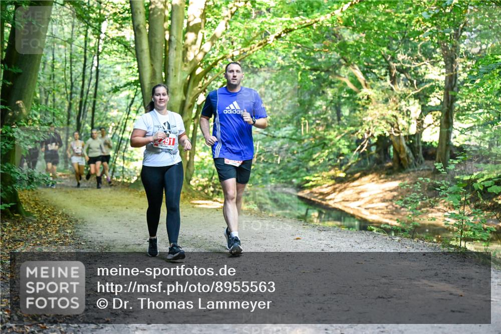 28.09.2025 - 33. Volkslauf durch das schöne Alstertal Dr. Thomas Lammeyer http://msf.ph/oto/8955563 28.09.2025 10:42:00 Laufen 291 meine-sportfotos.de