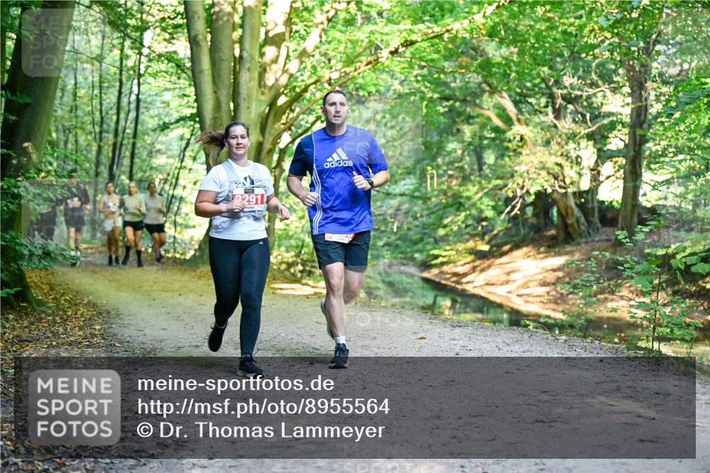 28.09.2025 - 33. Volkslauf durch das schöne Alstertal Dr. Thomas Lammeyer http://msf.ph/oto/8955564 28.09.2025 10:42:00 Laufen 291 meine-sportfotos.de