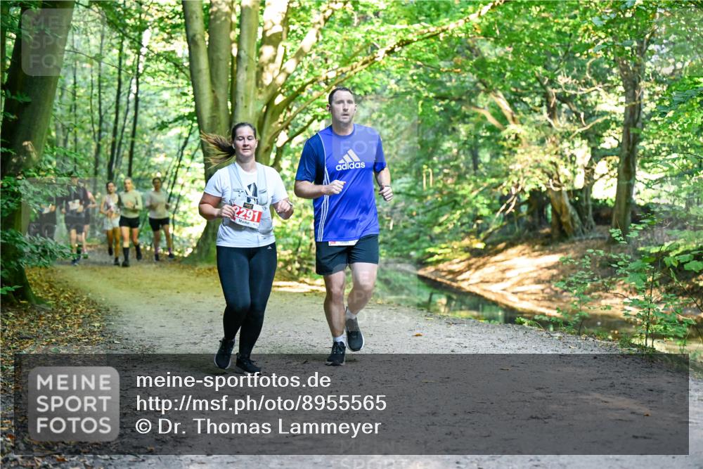 28.09.2025 - 33. Volkslauf durch das schöne Alstertal Dr. Thomas Lammeyer http://msf.ph/oto/8955565 28.09.2025 10:42:00 Laufen 2291 meine-sportfotos.de