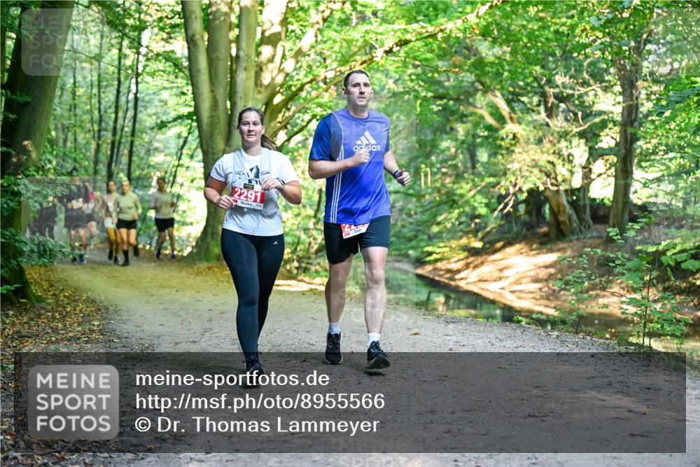 28.09.2025 - 33. Volkslauf durch das schöne Alstertal Dr. Thomas Lammeyer http://msf.ph/oto/8955566 28.09.2025 10:42:00 Laufen 2291, 1 meine-sportfotos.de