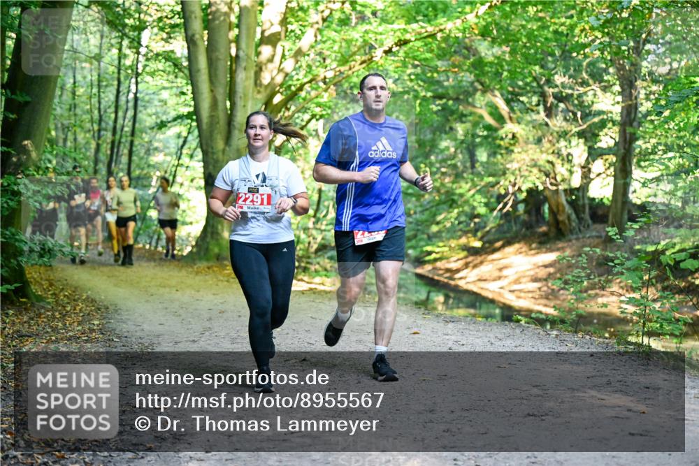 28.09.2025 - 33. Volkslauf durch das schöne Alstertal Dr. Thomas Lammeyer http://msf.ph/oto/8955567 28.09.2025 10:42:00 Laufen 2291 meine-sportfotos.de