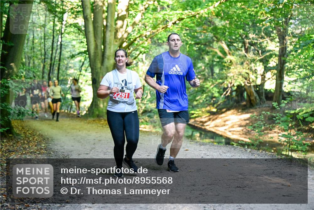 28.09.2025 - 33. Volkslauf durch das schöne Alstertal Dr. Thomas Lammeyer http://msf.ph/oto/8955568 28.09.2025 10:42:00 Laufen 2291, 3 meine-sportfotos.de