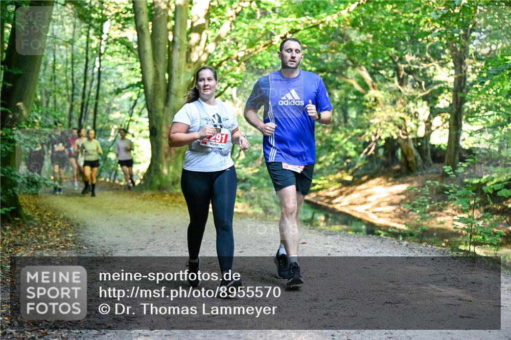 28.09.2025 - 33. Volkslauf durch das schöne Alstertal Dr. Thomas Lammeyer http://msf.ph/oto/8955570 28.09.2025 10:42:00 Laufen 291 meine-sportfotos.de