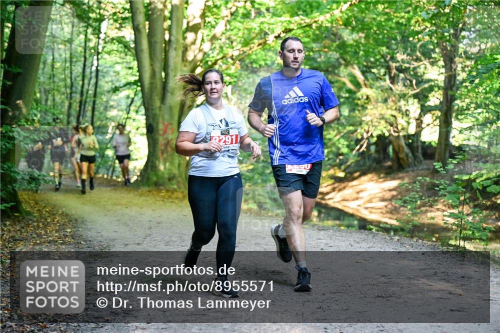 28.09.2025 - 33. Volkslauf durch das schöne Alstertal Dr. Thomas Lammeyer http://msf.ph/oto/8955571 28.09.2025 10:42:00 Laufen 2291 meine-sportfotos.de
