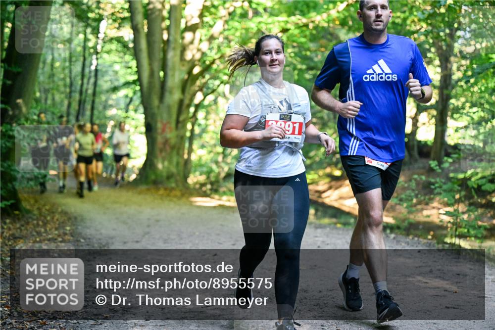28.09.2025 - 33. Volkslauf durch das schöne Alstertal Dr. Thomas Lammeyer http://msf.ph/oto/8955575 28.09.2025 10:42:01 Laufen 2391 meine-sportfotos.de
