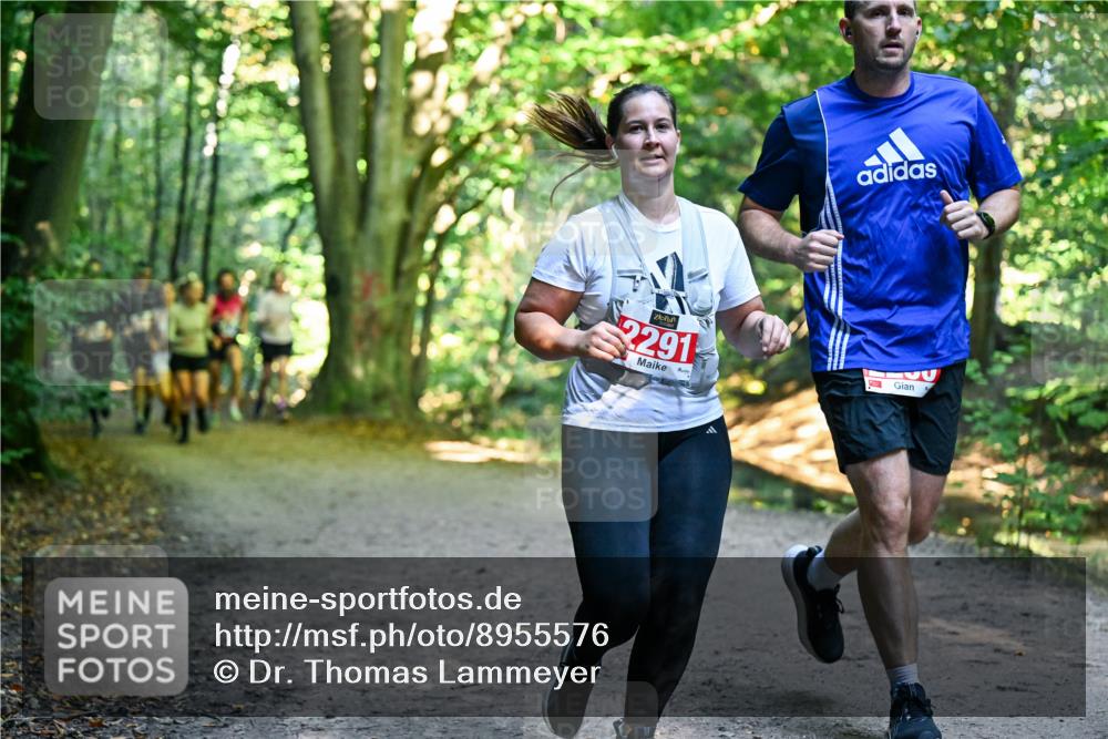 28.09.2025 - 33. Volkslauf durch das schöne Alstertal Dr. Thomas Lammeyer http://msf.ph/oto/8955576 28.09.2025 10:42:01 Laufen 2291 meine-sportfotos.de