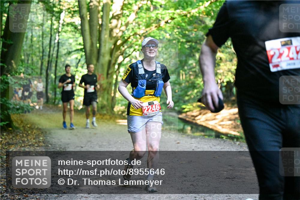 28.09.2025 - 33. Volkslauf durch das schöne Alstertal Dr. Thomas Lammeyer http://msf.ph/oto/8955646 28.09.2025 10:42:13 Laufen 2246, 2242 meine-sportfotos.de