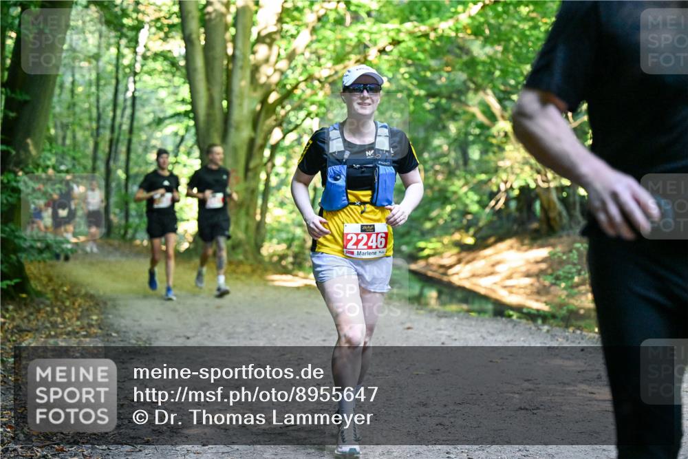 28.09.2025 - 33. Volkslauf durch das schöne Alstertal Dr. Thomas Lammeyer http://msf.ph/oto/8955647 28.09.2025 10:42:13 Laufen 2246 meine-sportfotos.de