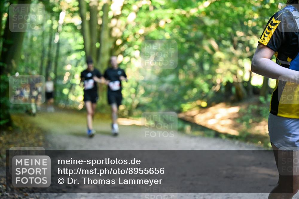 28.09.2025 - 33. Volkslauf durch das schöne Alstertal Dr. Thomas Lammeyer http://msf.ph/oto/8955656 28.09.2025 10:42:14 Laufen  meine-sportfotos.de