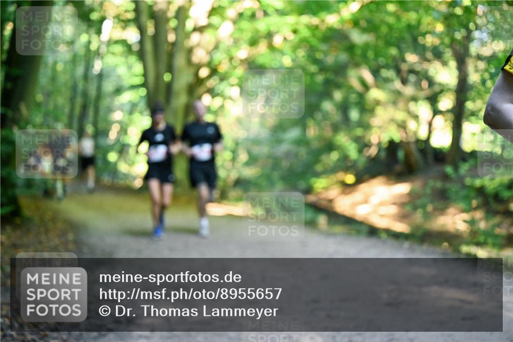 28.09.2025 - 33. Volkslauf durch das schöne Alstertal Dr. Thomas Lammeyer http://msf.ph/oto/8955657 28.09.2025 10:42:14 Laufen  meine-sportfotos.de