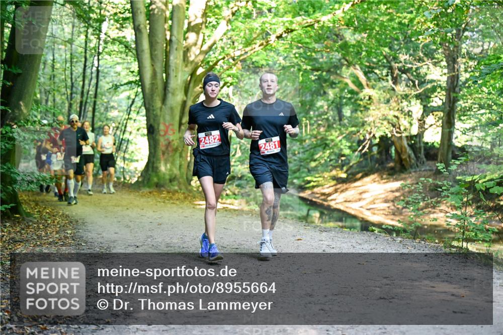 28.09.2025 - 33. Volkslauf durch das schöne Alstertal Dr. Thomas Lammeyer http://msf.ph/oto/8955664 28.09.2025 10:42:15 Laufen 2482, 2481 meine-sportfotos.de