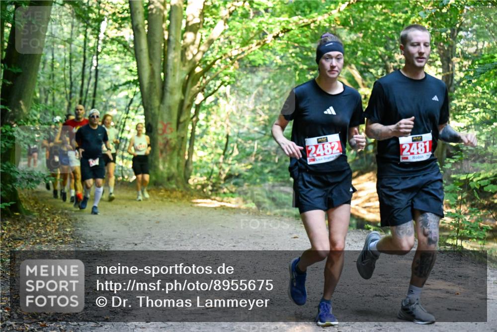 28.09.2025 - 33. Volkslauf durch das schöne Alstertal Dr. Thomas Lammeyer http://msf.ph/oto/8955675 28.09.2025 10:42:17 Laufen 2482, 2481 meine-sportfotos.de