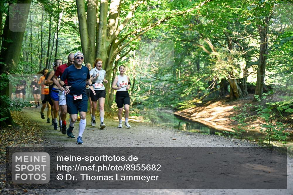 28.09.2025 - 33. Volkslauf durch das schöne Alstertal Dr. Thomas Lammeyer http://msf.ph/oto/8955682 28.09.2025 10:42:19 Laufen 2163, 2177 meine-sportfotos.de