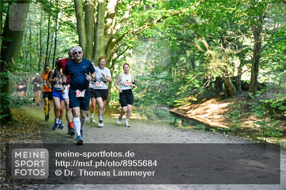 28.09.2025 - 33. Volkslauf durch das schöne Alstertal Dr. Thomas Lammeyer http://msf.ph/oto/8955684 28.09.2025 10:42:19 Laufen 26212163, 2177, 218 meine-sportfotos.de