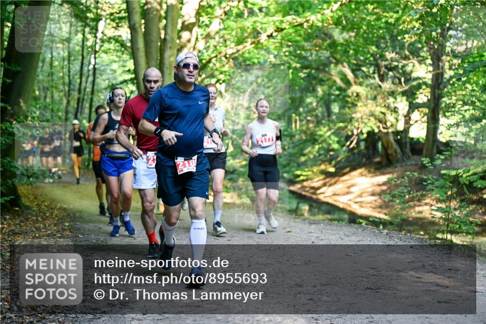 28.09.2025 - 33. Volkslauf durch das schöne Alstertal Dr. Thomas Lammeyer http://msf.ph/oto/8955693 28.09.2025 10:42:20 Laufen 218 meine-sportfotos.de