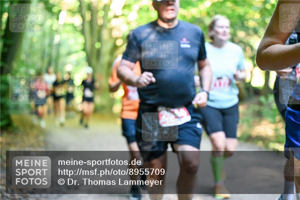 28.09.2025 - 33. Volkslauf durch das schöne Alstertal Dr. Thomas Lammeyer http://msf.ph/oto/8955709 28.09.2025 10:42:24 Laufen  meine-sportfotos.de