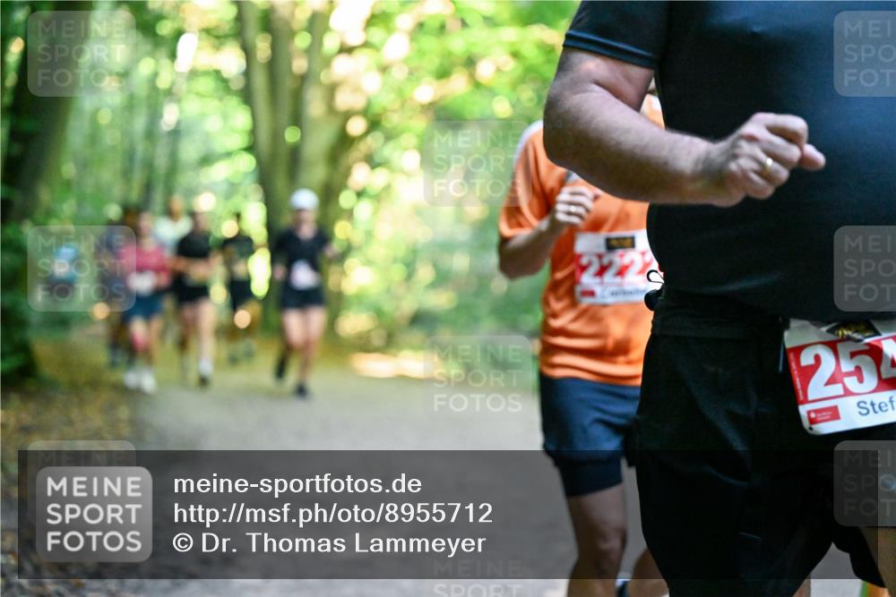 28.09.2025 - 33. Volkslauf durch das schöne Alstertal Dr. Thomas Lammeyer http://msf.ph/oto/8955712 28.09.2025 10:42:24 Laufen 25 meine-sportfotos.de