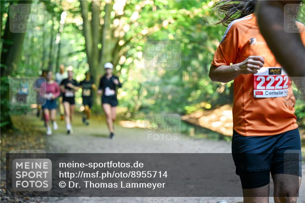 28.09.2025 - 33. Volkslauf durch das schöne Alstertal Dr. Thomas Lammeyer http://msf.ph/oto/8955714 28.09.2025 10:42:25 Laufen 2222 meine-sportfotos.de