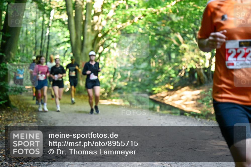28.09.2025 - 33. Volkslauf durch das schöne Alstertal Dr. Thomas Lammeyer http://msf.ph/oto/8955715 28.09.2025 10:42:25 Laufen 222 meine-sportfotos.de