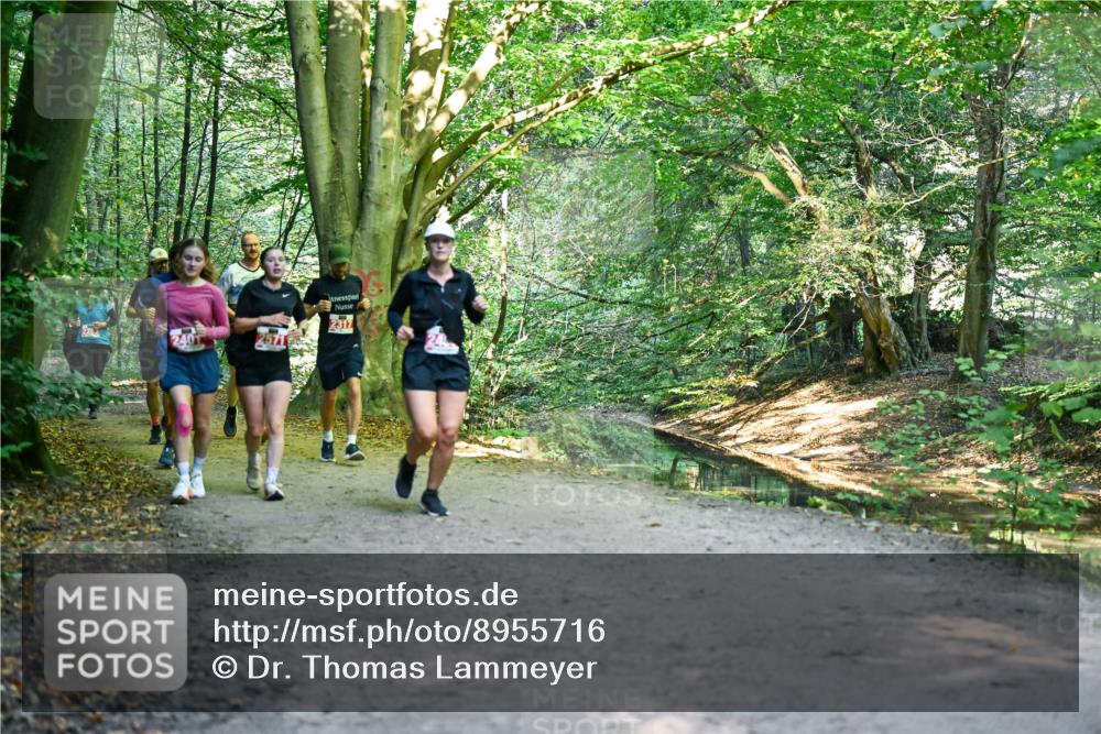 28.09.2025 - 33. Volkslauf durch das schöne Alstertal Dr. Thomas Lammeyer http://msf.ph/oto/8955716 28.09.2025 10:42:25 Laufen 240, 2571, 2317 meine-sportfotos.de
