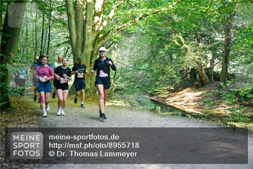 28.09.2025 - 33. Volkslauf durch das schöne Alstertal Dr. Thomas Lammeyer http://msf.ph/oto/8955718 28.09.2025 10:42:25 Laufen 2283, 240, 2317 meine-sportfotos.de