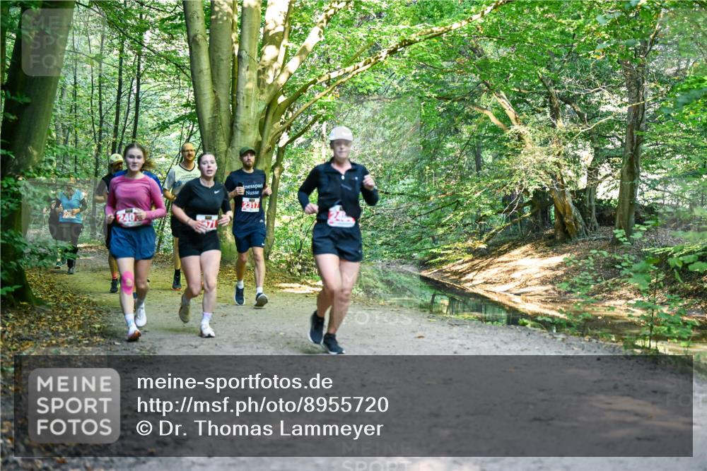 28.09.2025 - 33. Volkslauf durch das schöne Alstertal Dr. Thomas Lammeyer http://msf.ph/oto/8955720 28.09.2025 10:42:26 Laufen 2287, 240 meine-sportfotos.de