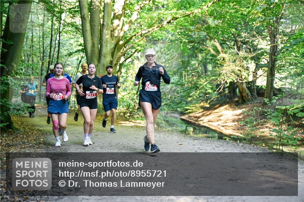 28.09.2025 - 33. Volkslauf durch das schöne Alstertal Dr. Thomas Lammeyer http://msf.ph/oto/8955721 28.09.2025 10:42:26 Laufen 2464, 2317, 2401, 2571 meine-sportfotos.de