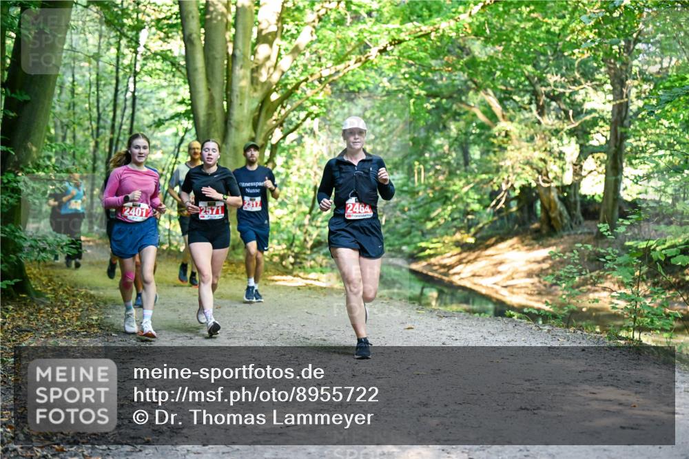 28.09.2025 - 33. Volkslauf durch das schöne Alstertal Dr. Thomas Lammeyer http://msf.ph/oto/8955722 28.09.2025 10:42:26 Laufen 2317, 2401, 2571, 2464 meine-sportfotos.de