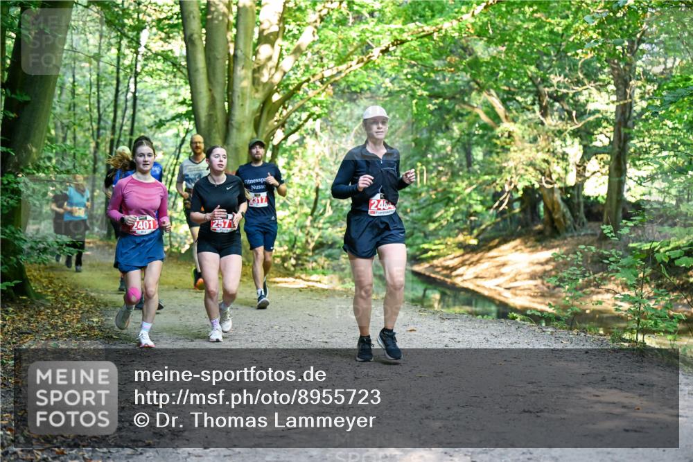 28.09.2025 - 33. Volkslauf durch das schöne Alstertal Dr. Thomas Lammeyer http://msf.ph/oto/8955723 28.09.2025 10:42:26 Laufen 2401, 12571, 2317, 2464 meine-sportfotos.de