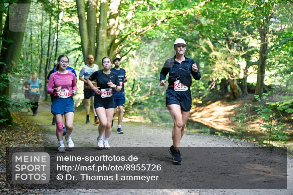 28.09.2025 - 33. Volkslauf durch das schöne Alstertal Dr. Thomas Lammeyer http://msf.ph/oto/8955726 28.09.2025 10:42:27 Laufen 2401, 2571, 246 meine-sportfotos.de
