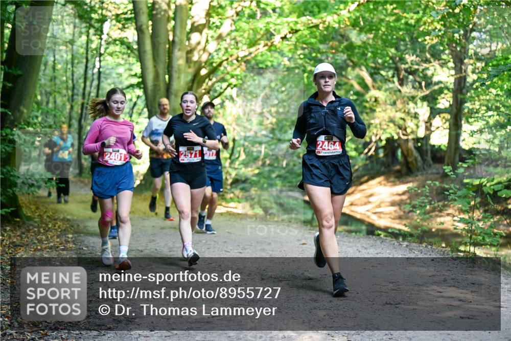 28.09.2025 - 33. Volkslauf durch das schöne Alstertal Dr. Thomas Lammeyer http://msf.ph/oto/8955727 28.09.2025 10:42:27 Laufen 2401, 2571, 37, 2464 meine-sportfotos.de