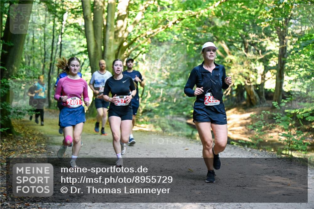 28.09.2025 - 33. Volkslauf durch das schöne Alstertal Dr. Thomas Lammeyer http://msf.ph/oto/8955729 28.09.2025 10:42:27 Laufen 2401, 246 meine-sportfotos.de