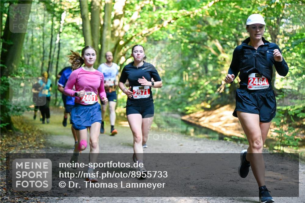 28.09.2025 - 33. Volkslauf durch das schöne Alstertal Dr. Thomas Lammeyer http://msf.ph/oto/8955733 28.09.2025 10:42:28 Laufen 2401, 2571, 2464 meine-sportfotos.de