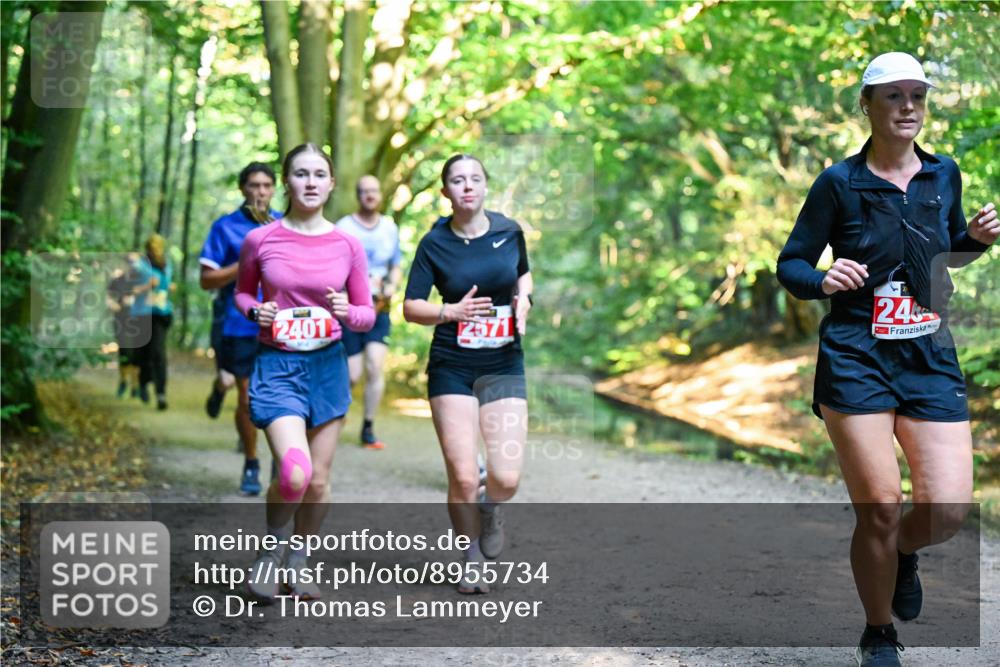 28.09.2025 - 33. Volkslauf durch das schöne Alstertal Dr. Thomas Lammeyer http://msf.ph/oto/8955734 28.09.2025 10:42:28 Laufen 2401, 2571, 246 meine-sportfotos.de