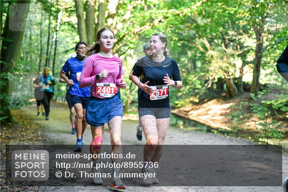 28.09.2025 - 33. Volkslauf durch das schöne Alstertal Dr. Thomas Lammeyer http://msf.ph/oto/8955736 28.09.2025 10:42:28 Laufen 2401, 2571 meine-sportfotos.de