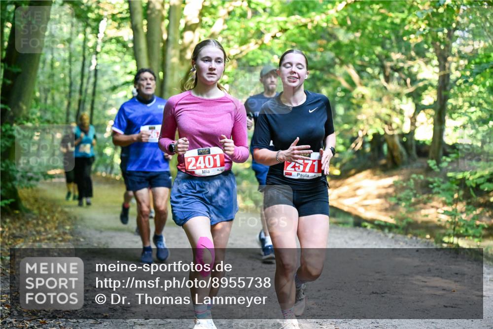 28.09.2025 - 33. Volkslauf durch das schöne Alstertal Dr. Thomas Lammeyer http://msf.ph/oto/8955738 28.09.2025 10:42:28 Laufen 2401, 2571 meine-sportfotos.de