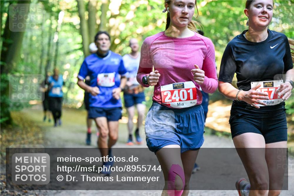 28.09.2025 - 33. Volkslauf durch das schöne Alstertal Dr. Thomas Lammeyer http://msf.ph/oto/8955744 28.09.2025 10:42:29 Laufen 2401, 57 meine-sportfotos.de