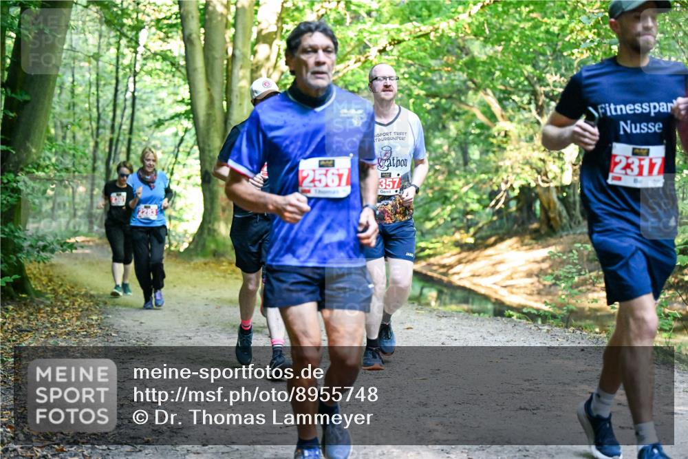 28.09.2025 - 33. Volkslauf durch das schöne Alstertal Dr. Thomas Lammeyer http://msf.ph/oto/8955748 28.09.2025 10:42:30 Laufen 2567, 357, 2317 meine-sportfotos.de