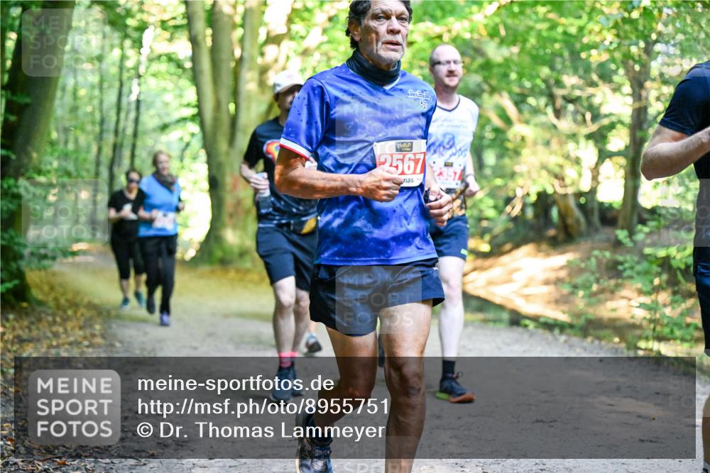 28.09.2025 - 33. Volkslauf durch das schöne Alstertal Dr. Thomas Lammeyer http://msf.ph/oto/8955751 28.09.2025 10:42:30 Laufen 2567 meine-sportfotos.de