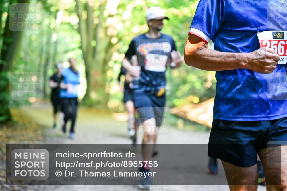 28.09.2025 - 33. Volkslauf durch das schöne Alstertal Dr. Thomas Lammeyer http://msf.ph/oto/8955756 28.09.2025 10:42:31 Laufen 2567 meine-sportfotos.de