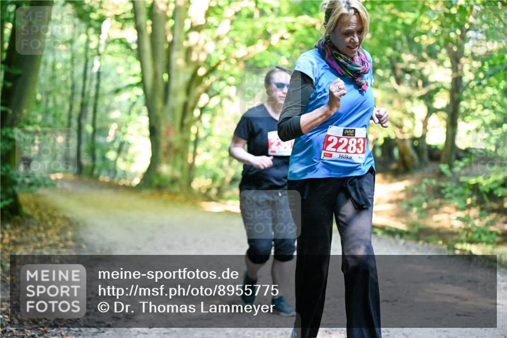 28.09.2025 - 33. Volkslauf durch das schöne Alstertal Dr. Thomas Lammeyer http://msf.ph/oto/8955775 28.09.2025 10:42:34 Laufen 2283 meine-sportfotos.de