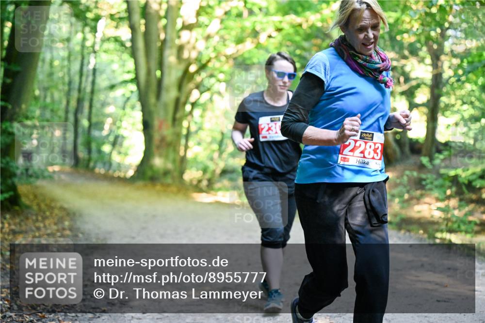 28.09.2025 - 33. Volkslauf durch das schöne Alstertal Dr. Thomas Lammeyer http://msf.ph/oto/8955777 28.09.2025 10:42:34 Laufen 230, 2283 meine-sportfotos.de
