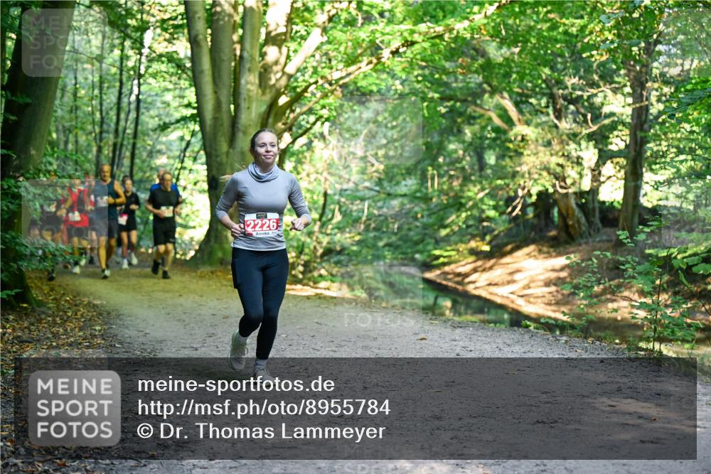 28.09.2025 - 33. Volkslauf durch das schöne Alstertal Dr. Thomas Lammeyer http://msf.ph/oto/8955784 28.09.2025 10:42:42 Laufen 2226 meine-sportfotos.de