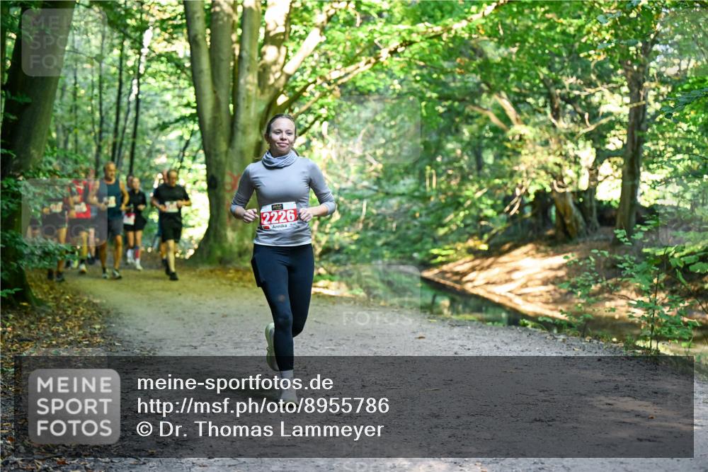 28.09.2025 - 33. Volkslauf durch das schöne Alstertal Dr. Thomas Lammeyer http://msf.ph/oto/8955786 28.09.2025 10:42:42 Laufen 2226 meine-sportfotos.de