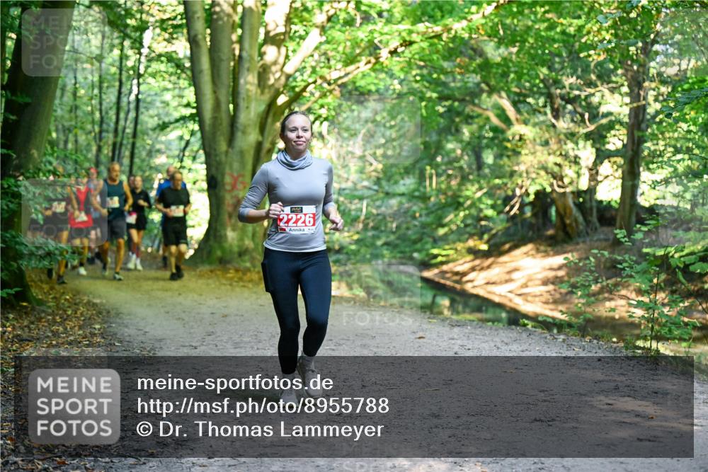 28.09.2025 - 33. Volkslauf durch das schöne Alstertal Dr. Thomas Lammeyer http://msf.ph/oto/8955788 28.09.2025 10:42:42 Laufen 2226 meine-sportfotos.de