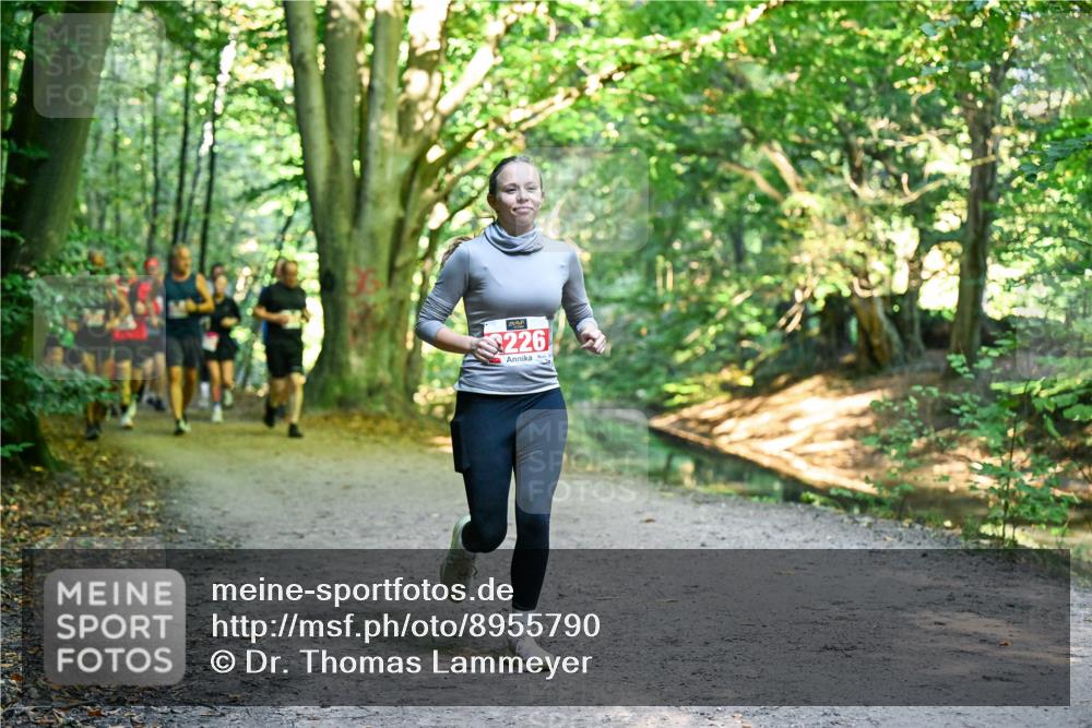 28.09.2025 - 33. Volkslauf durch das schöne Alstertal Dr. Thomas Lammeyer http://msf.ph/oto/8955790 28.09.2025 10:42:42 Laufen 226 meine-sportfotos.de